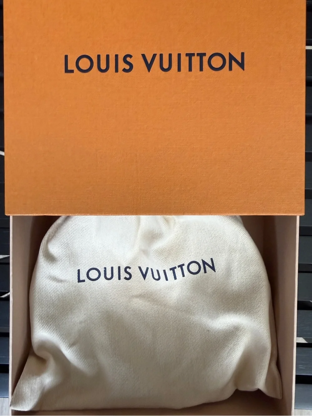 Louis Vuitton men louis